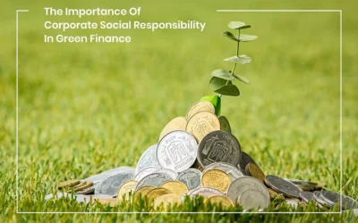 The Importance Of Corporate Social Responsibility In Green Finance