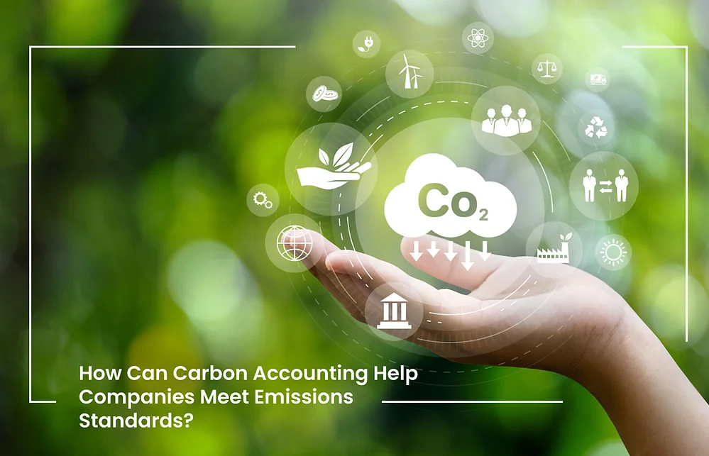 How Can Carbon Accounting Help Companies Meet Emissions Standards?