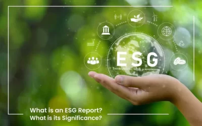 What is an ESG Report? What is its Significance?