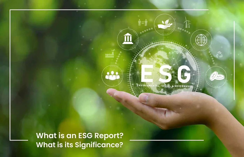 What is an ESG Report? What is its Significance?